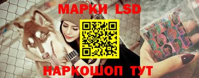 ПСИЛОЦИБИНОВЫЕ ГРИБЫ Донской