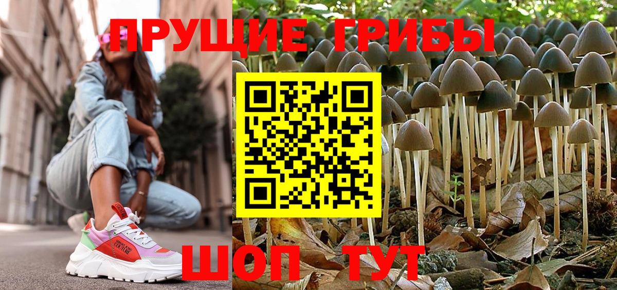 Ливны  Галлюциногенные грибы Psilocybine cubensis  Вход с VPN 